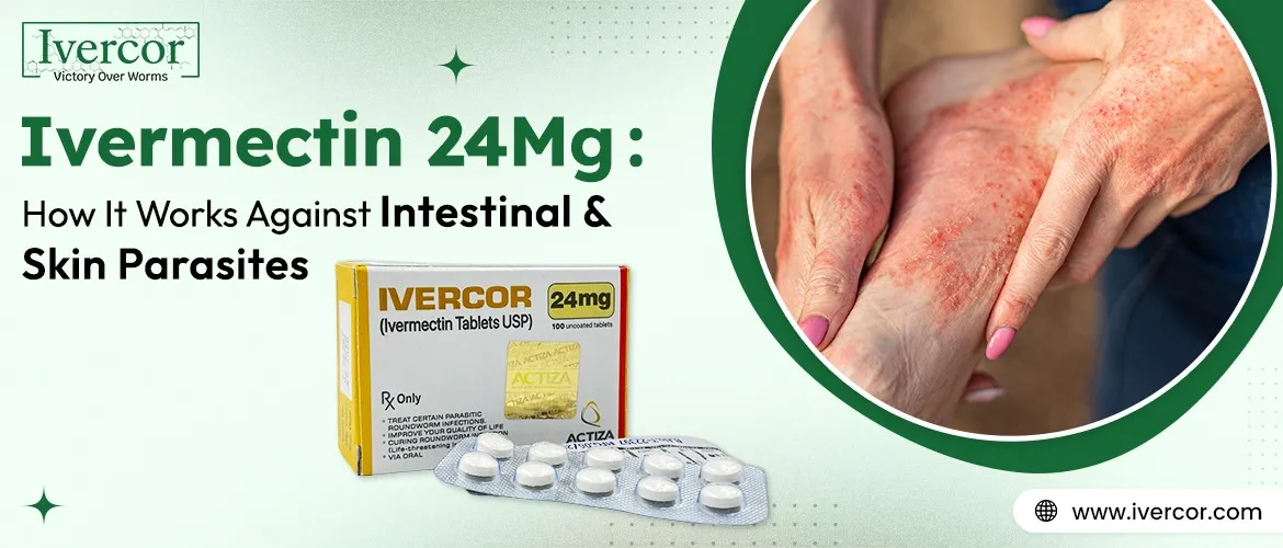 Ivercor 24 mg: How It Works Against Intestinal and Skin Parasites